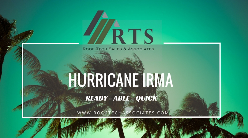 rta Irma